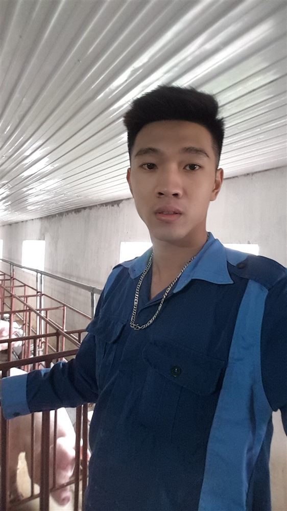 Lê Tiến Bình – công việc trước đây