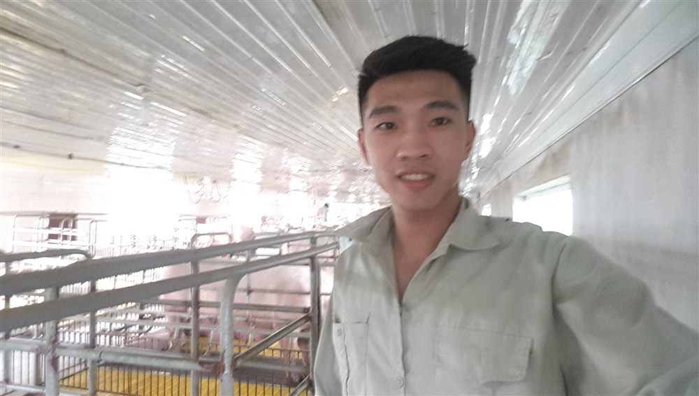 Lê Tiến Bình – công việc trước đây