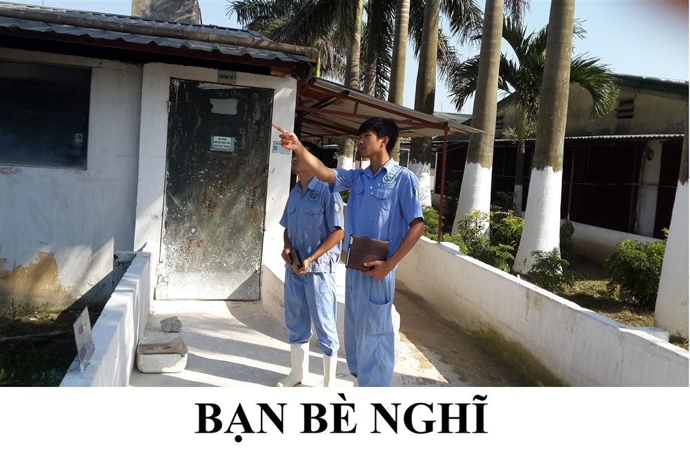 Lê Tiến Bình – công việc trước đây