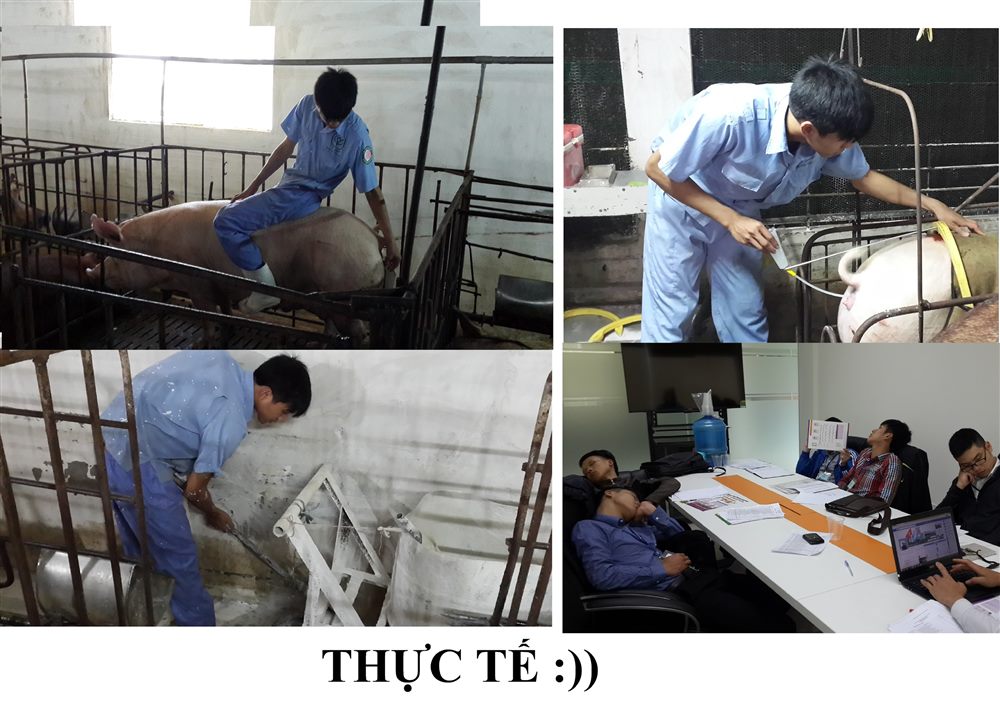 Lê Tiến Bình – công việc trước đây